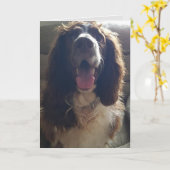 ラブグリーティングカードで カード (黄色い花)