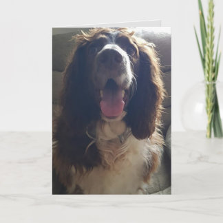 ラブグリーティングカード カード