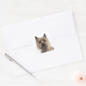 ラブケアンテリアパピードッググリーティングスティッカー スクエアシール (封筒)