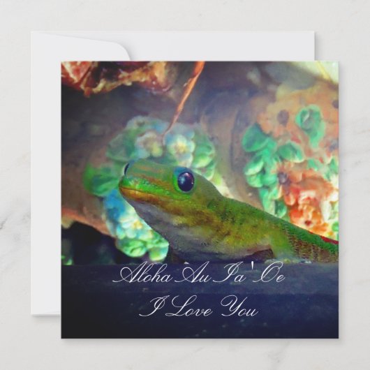 ラブゲッコ (正面)