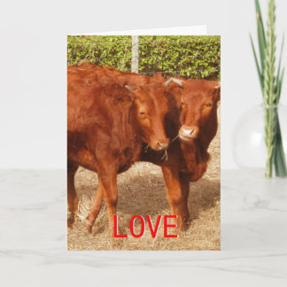 ラブシェアリング シーズンカード