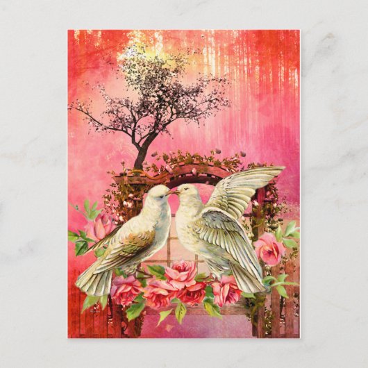 ラブシーズン.jpg ポストカード (正面)