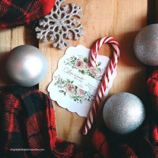 ラブスイートテイクアトリートピーニー結婚式の引き出物ラベル フェイバータグ