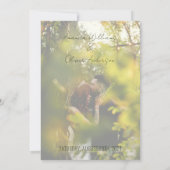 ラブストーリー フォト ウェディング セーブザデート (裏面)