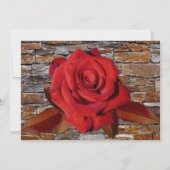 ラブストーリー ロマンス ブック ブライダルシャワー 招待状 (裏面)