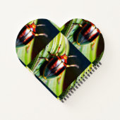 ラブズバズ ノートブック (裏面)