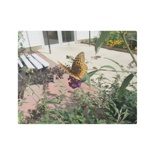 ラブズフライトフォトプリント メタルプリント (正面)