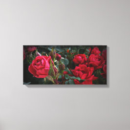 ラブズ・シー・オブ・開花（レッド・ローズ&バッド） キャンバスプリント