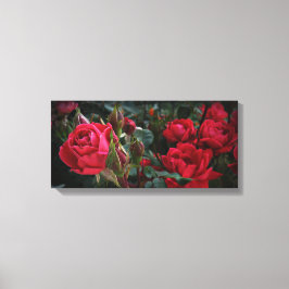 ラブズ・シー・オブ・開花（レッド・ローズ&バッド） キャンバスプリント