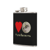 ラブタイグリーンカレー…タイ通り食品 フラスク (左)