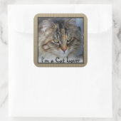 ラブタブビーキャットスクエア スクエアシール (バッグ)