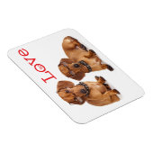 ラブダックシュントパピードッグ冷蔵庫用マグネット マグネット (右側)