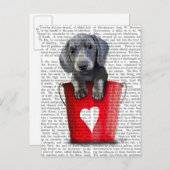 ラブダックシュント子犬のバケツ ポストカード (正面/裏面)