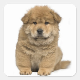 ラブチョウ子犬グリーティングステッカー スクエアシール