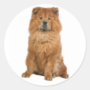 ラブチョウ子犬グリーティングステッカー ラウンドシール