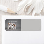 ラブチワハス ラベル (インサイチュ)