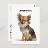 ラブチワワス ポストカード (正面/裏面)