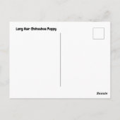 ラブチワワス ポストカード (裏面)