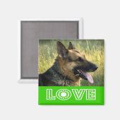 ラブドイツシェパードパピードドッグ冷蔵庫用マグネット マグネット (正面/裏面)