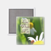 ラブドリームホープLadybugマグネット マグネット (正面/裏面)