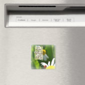 ラブドリームホープLadybugマグネット マグネット (インサイチュ (食洗機))