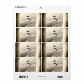 ラブドルフィンズ住所 シール (フルシート)