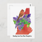 ラブニューハンプシャーパープルフィンチ薄紫 ポストカード (正面/裏面)