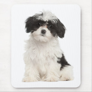 ラブハバネの子犬マウスパッド マウスパッド
