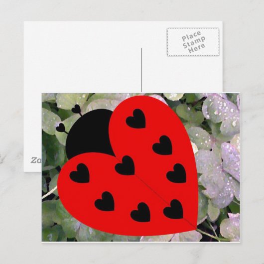 ラブバグ ポストカード (正面/裏面)