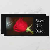 ラブバラ (正面/裏面)