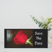 ラブバラ (スタンド正面)