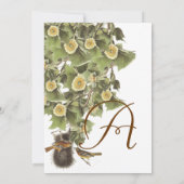 ラブバーズネスティングアクアブルーフォント結婚ズ 招待状 (裏面)