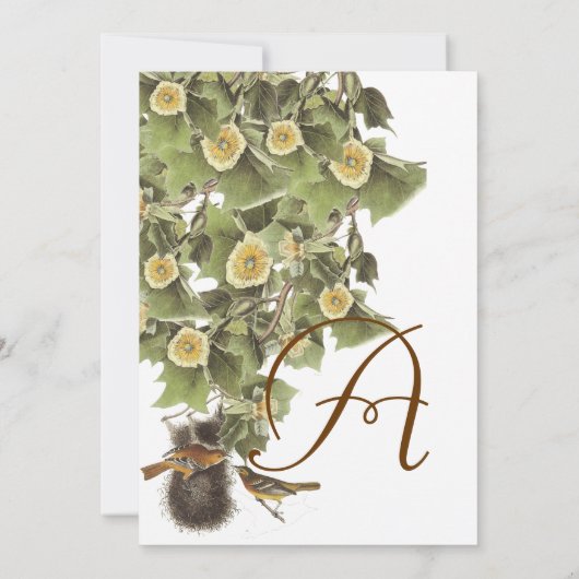 ラブバーズネスティングアクアブルーフォント結婚ズ 招待状 (裏面)