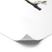 ラブバードは白いさくらんぼの花枝に座っている ポスター (角)