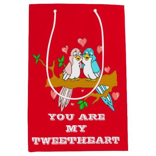 ラブバードパーソナライズされた抱き枕 ミディアムペーパーバッグ (正面)