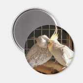 ラブバード磁石 マグネット (正面/裏面)