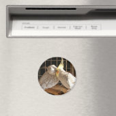 ラブバード磁石 マグネット (インサイチュ (食洗機))