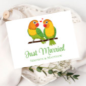 ラブバード自然ラブバードたった今結婚しました結婚ズ 案内ポストカード