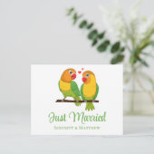ラブバード自然ラブバードたった今結婚しました結婚ズ 案内ポストカード (スタンド正面)