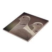 ラブバード タイル (側面)