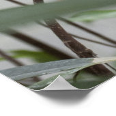 ラブバード ポスター (角)