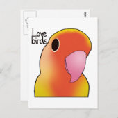 ラブバード ポストカード (正面/裏面)