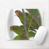 ラブパロッツマウスパッド マウスパッド (マウス)