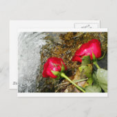 ラブビッツ ポストカード (正面/裏面)