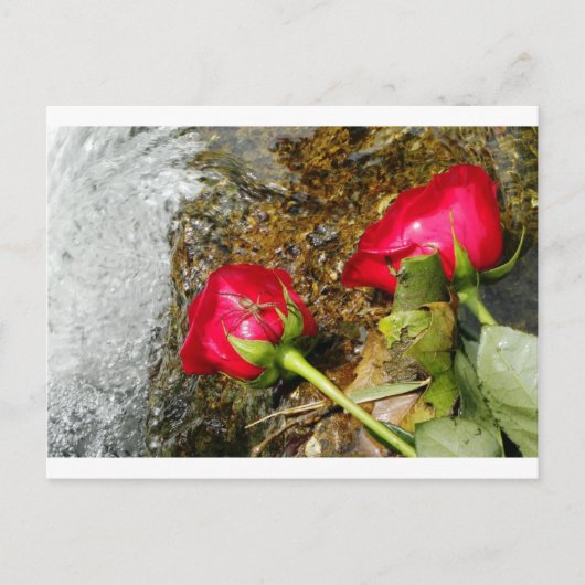 ラブビッツ ポストカード (正面)