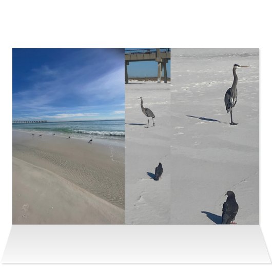 ラブビーチ (内部横(上))