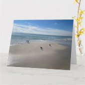 ラブビーチ カード (黄色い花)