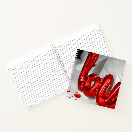 ラブピロー ノートブック (内部)