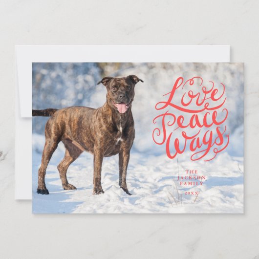 ラブピース赤いスクリプトドッグ写真 シーズンカード (正面)