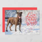 ラブピース赤いスクリプトドッグ写真 シーズンカード (正面/裏面)